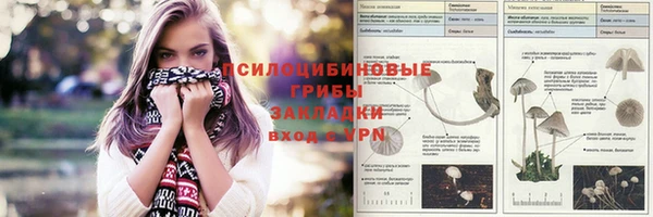 прущий лед Алзамай