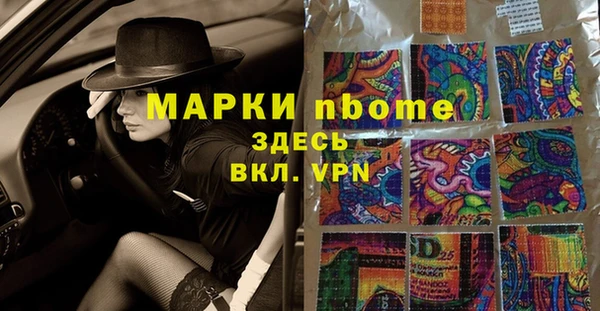 прущий лед Алзамай