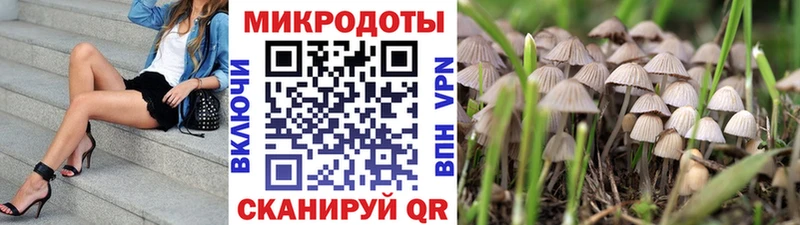 Галлюциногенные грибы мухоморы  Рошаль 